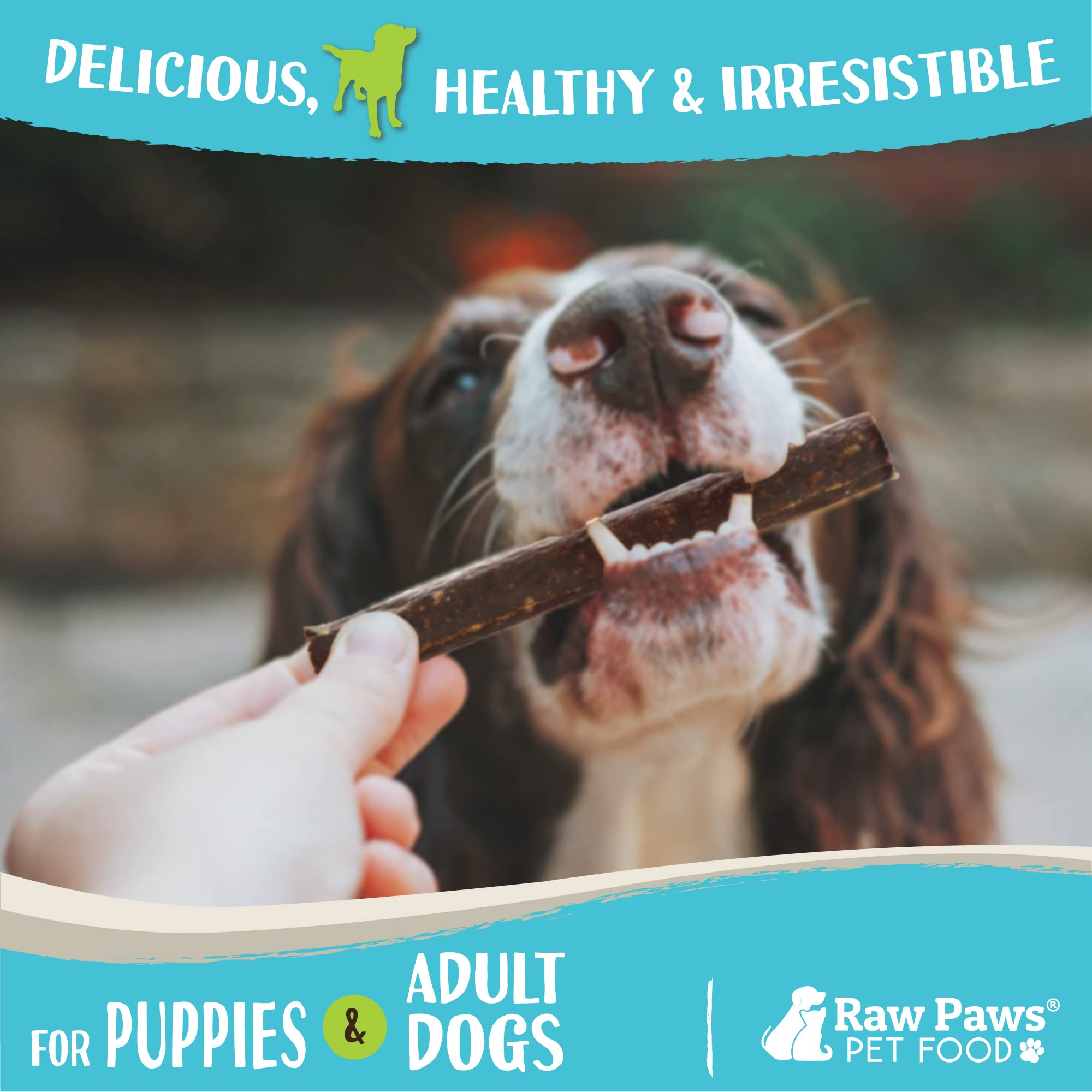 Raw Paws venison treats for sensitive stomachs, low-allergen option.