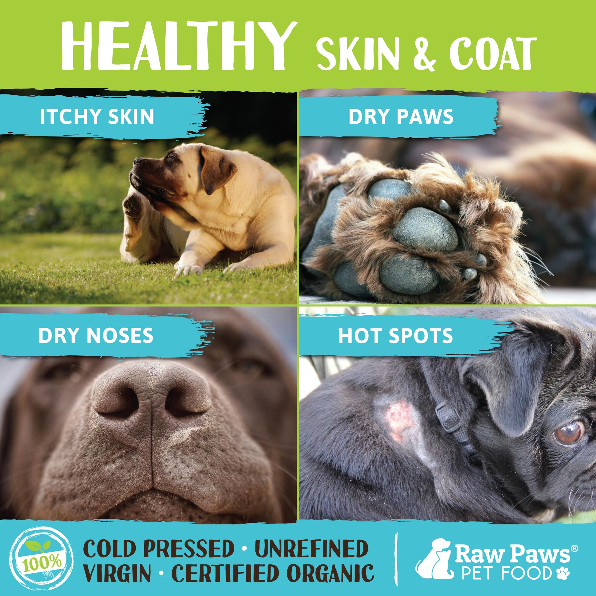 Applying Raw Paws coconut oil on a dog's skin for soothing care