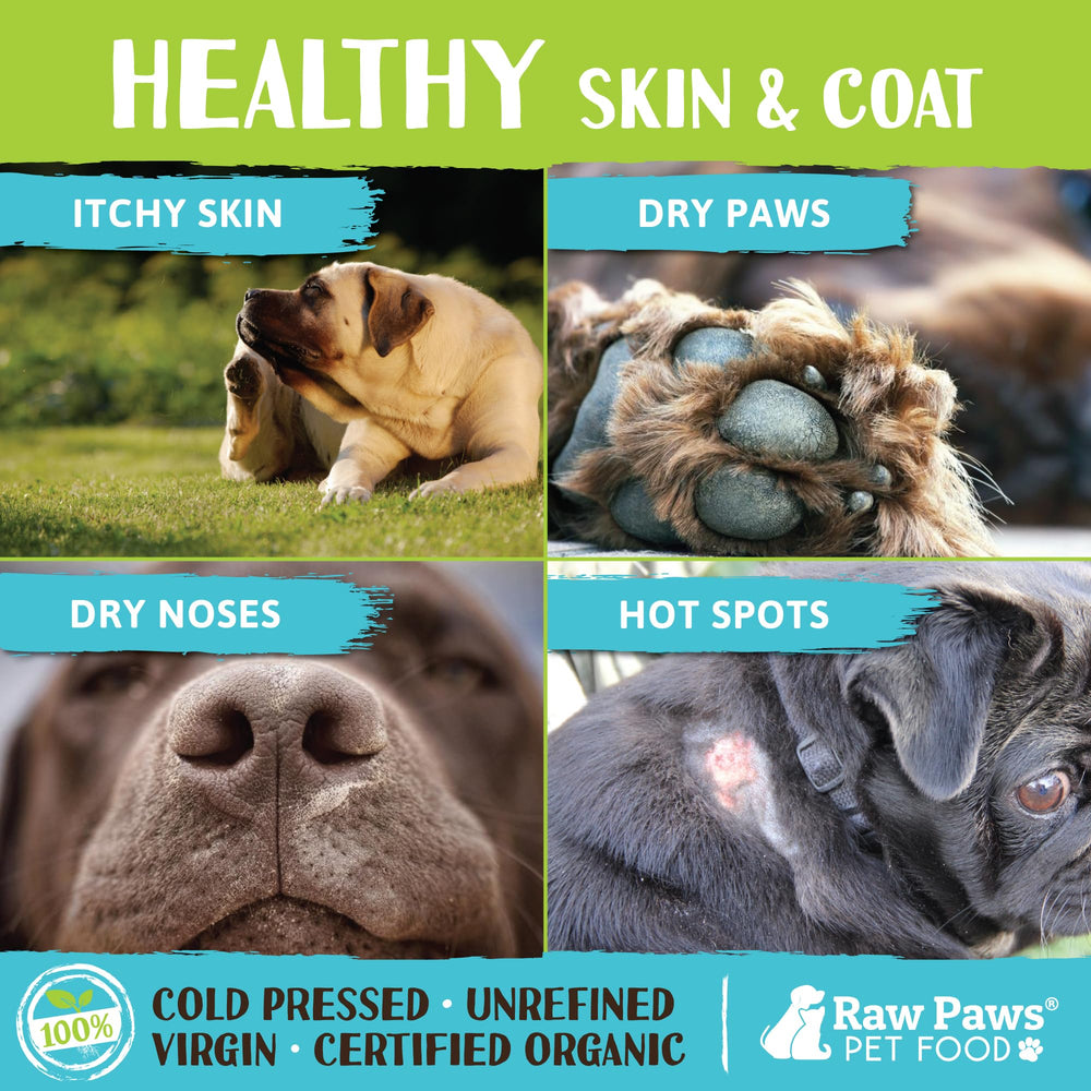 Raw Paws coconut oil applied to a dog's paw for hydration and conditioning.