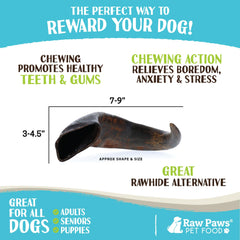 Raw Paws Water Buffalo Horns dog chewing: satisfying, long-lasting outlet for aggressive chewers.