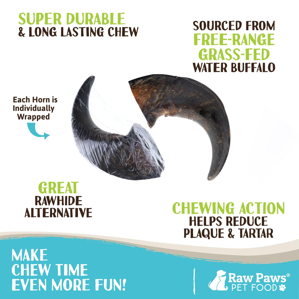 Raw Paws Water Buffalo Horns closeup shows natural horn texture and sturdy chew material.