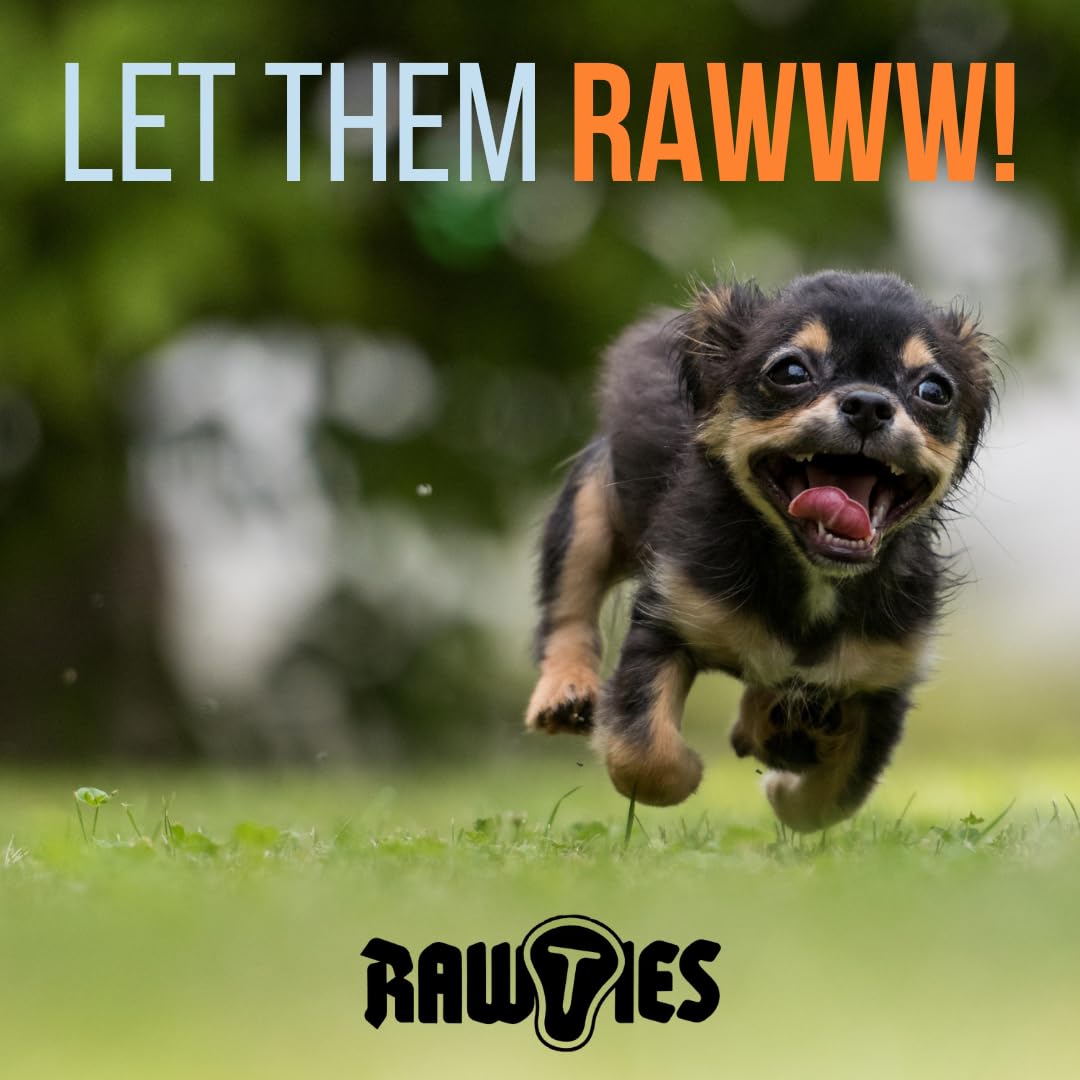 RAW TIES serving idea with dog bowl demonstrating practical meal enhancement