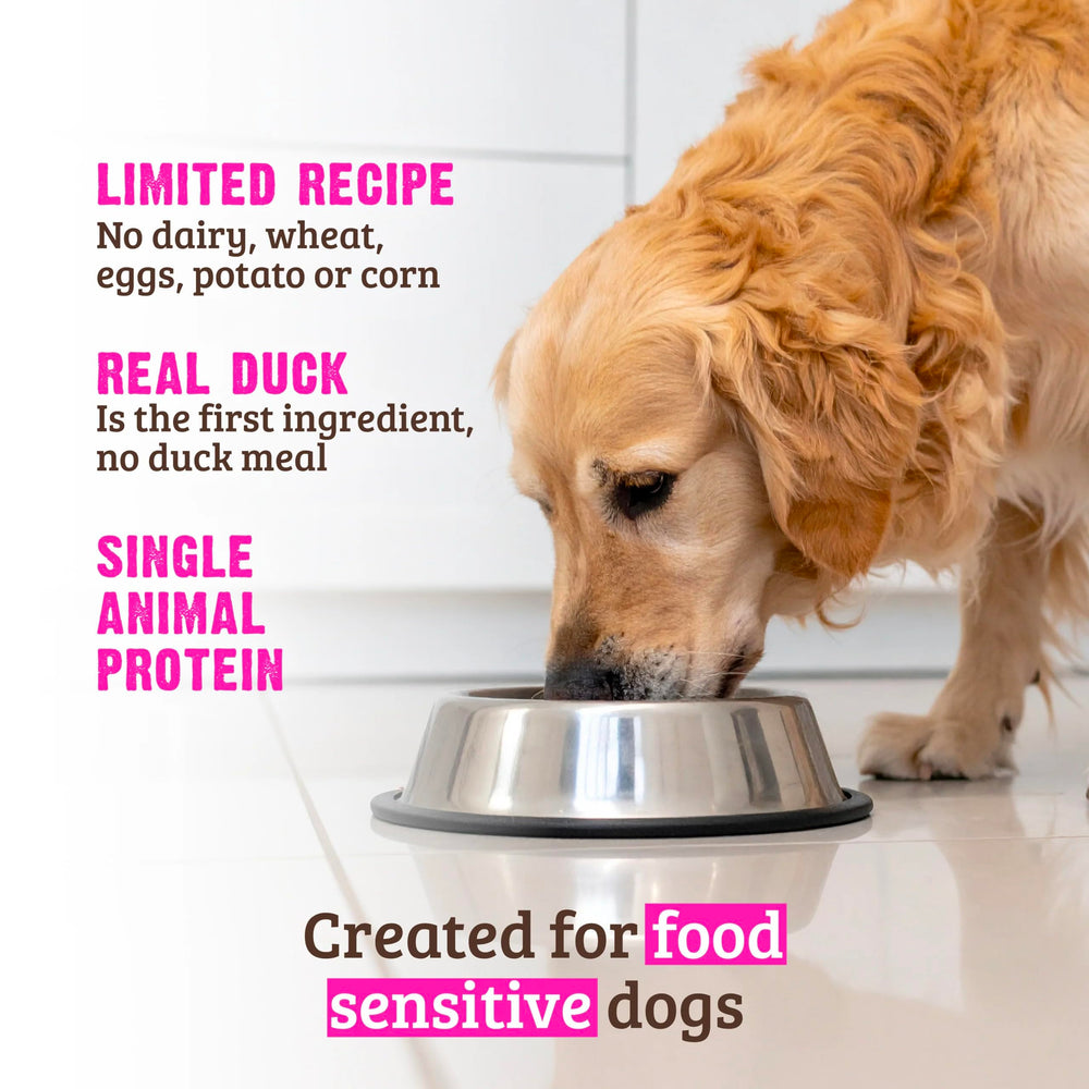 Rawz Meal Free Real Duck Recipe closeup kibble highlights real protein.