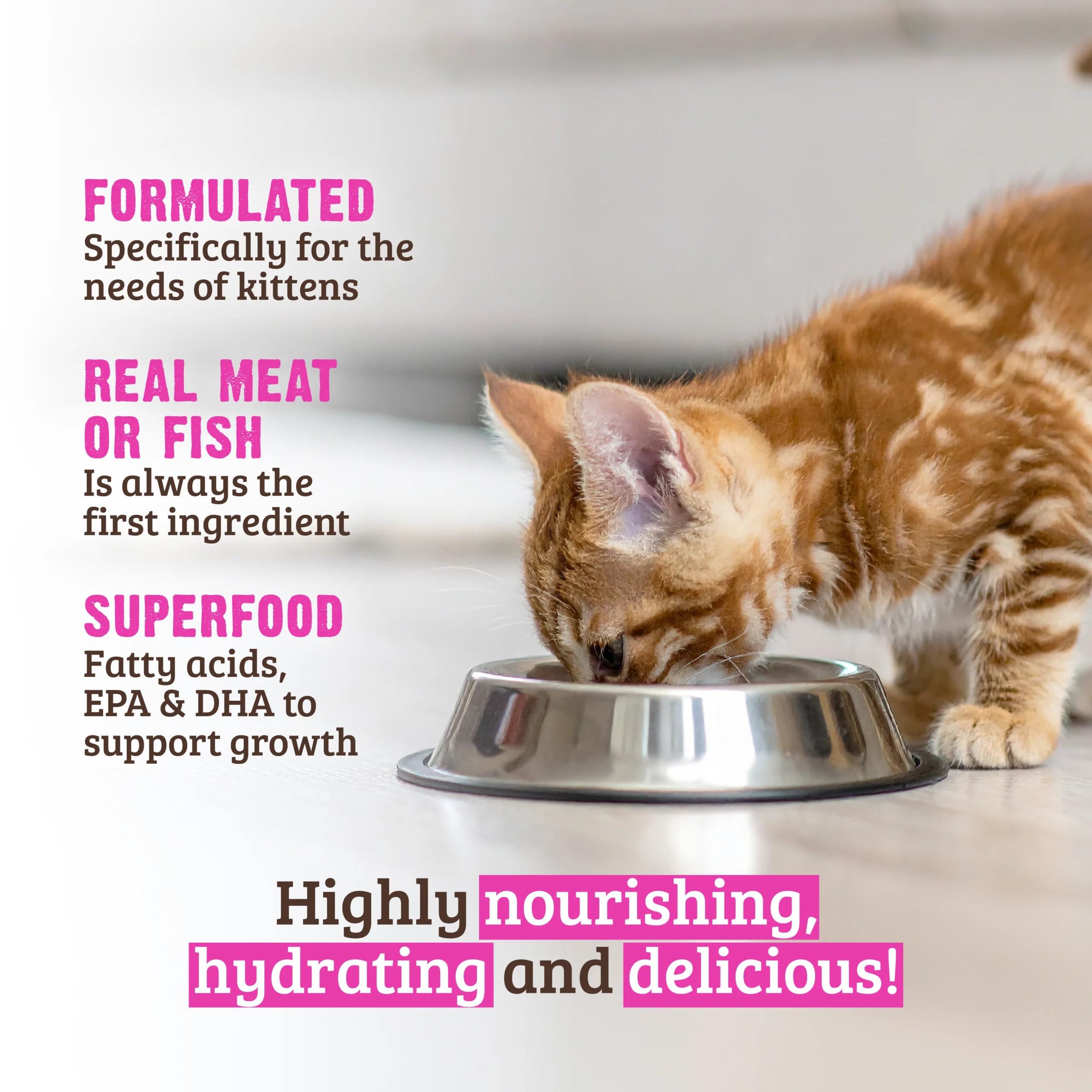 RAWZ feeding guide visual showing kitten portion sizes.