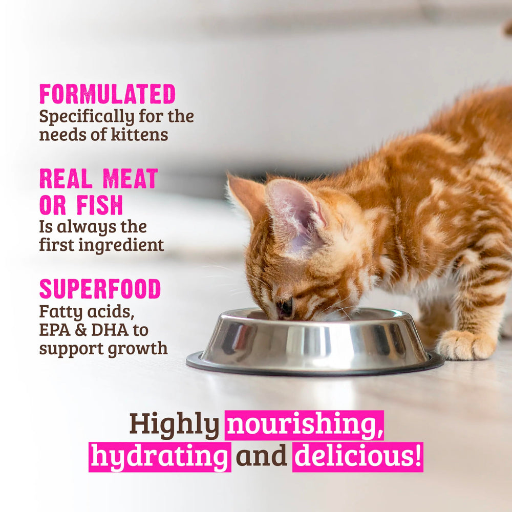 RAWZ feeding guide visual showing kitten portion sizes.