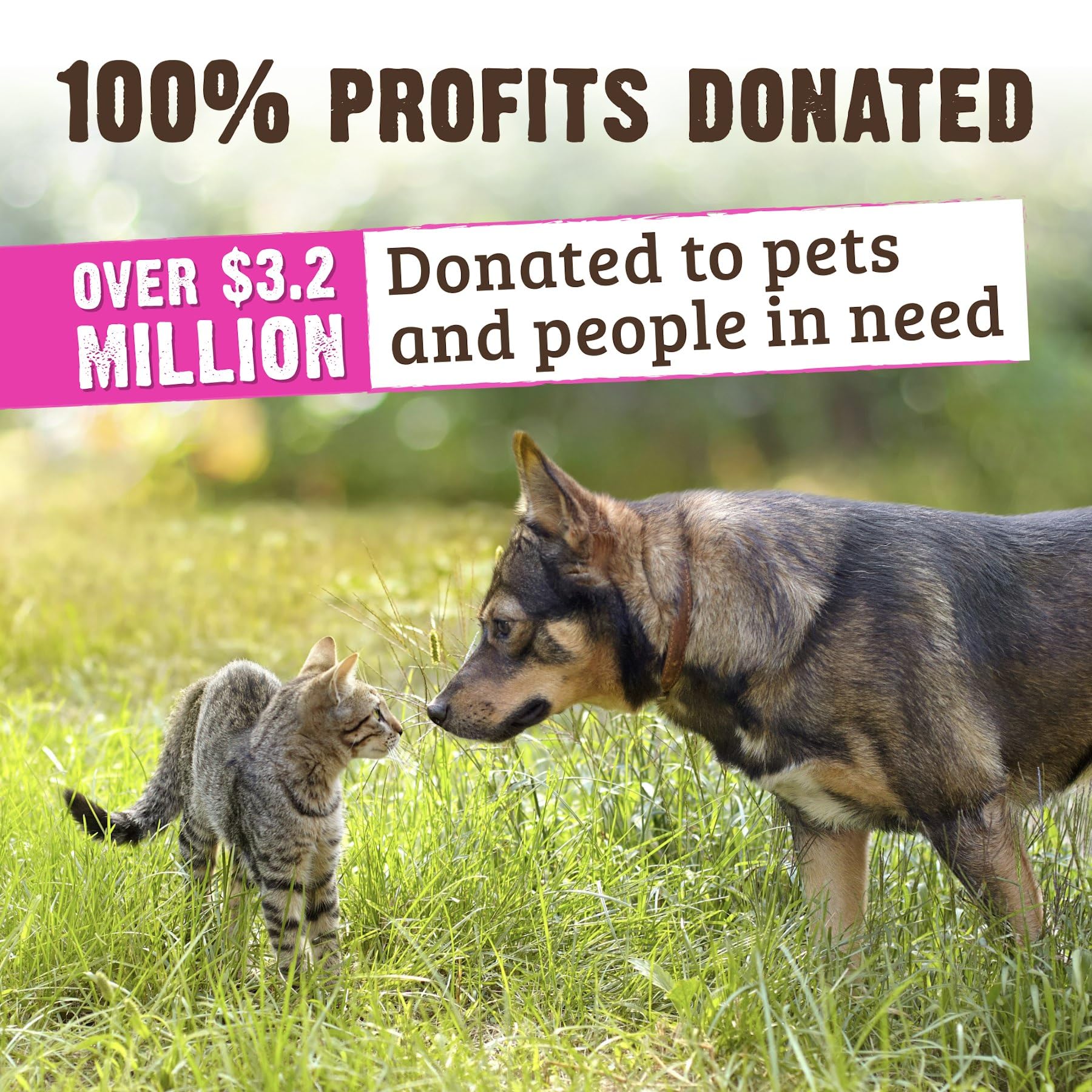 Rawz Real Rabbit Dry Food freeze-dried coating detail highlights premium protein and flavor cue.