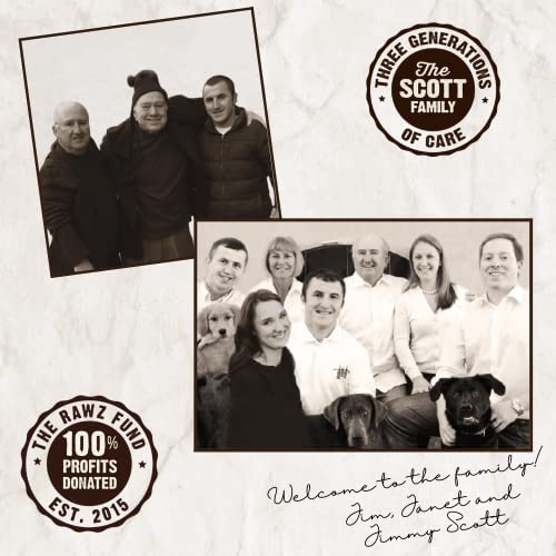 Rawz Rabbit & Pumpkin serving bowl demonstrates cat-friendly meal option.