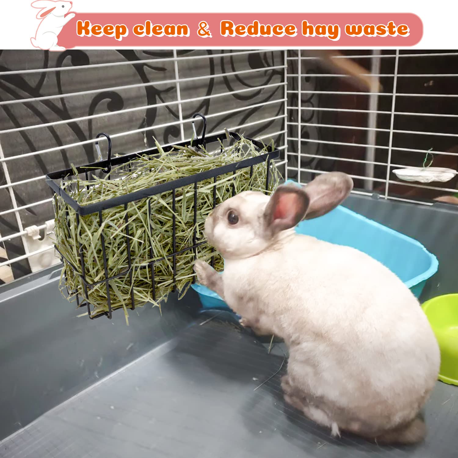 RAYFARMO two-piece setup demonstrates convenient pairing in shared cages.