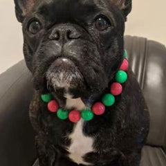 RayMinsino pearl pet necklace red closeup, festive look for Christmas or wedding outfits.