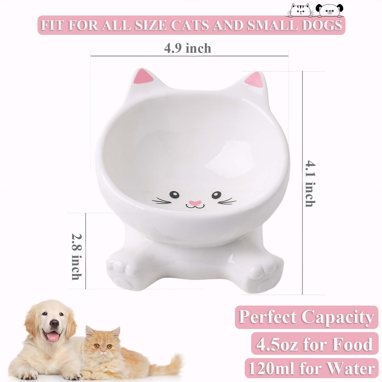 Raytrue-X ceramic odorless glaze bowl for clean eating