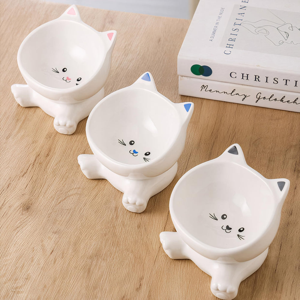 Raytrue-X porcelain water dish version for easy drinking