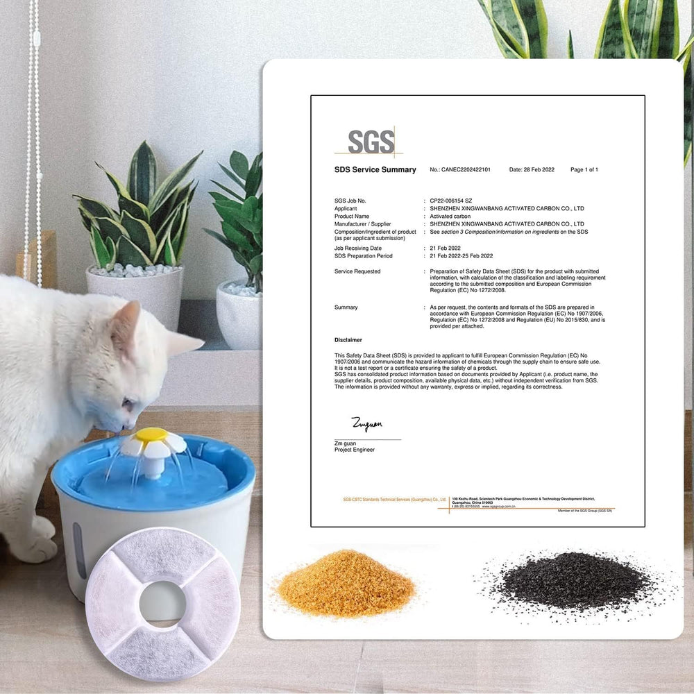 RBAYSALE pets-drinking-water hydration scene highlights potential hydration benefits