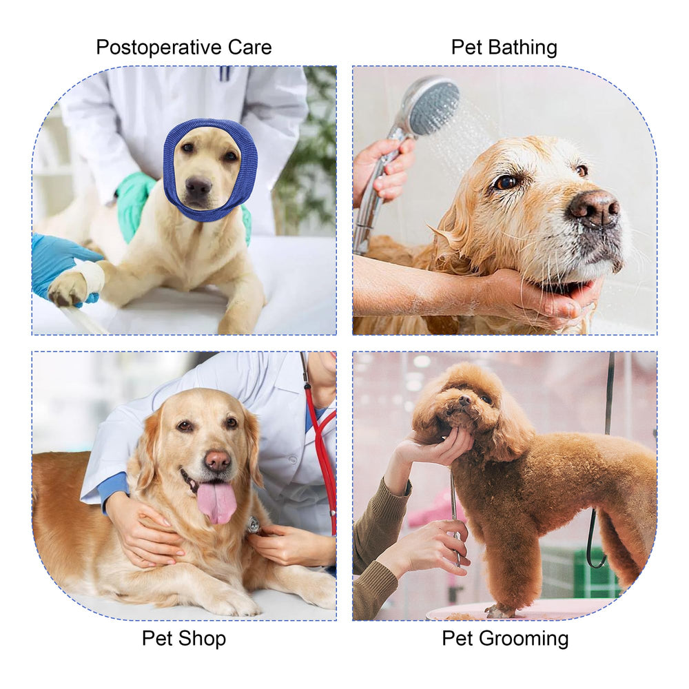 Rbenxia dog headband helps ease anxiety during trips and grooming.
