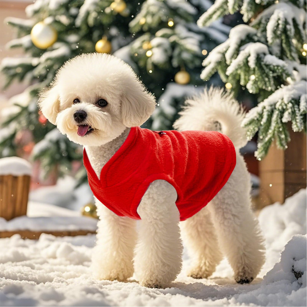 Rbenxia sweater worn by a small dog during winter walk