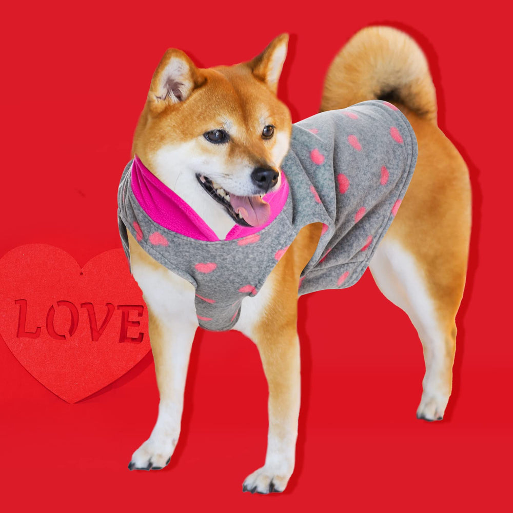 Rbenxia grey dog heart sweater during winter walk highlighting practicality