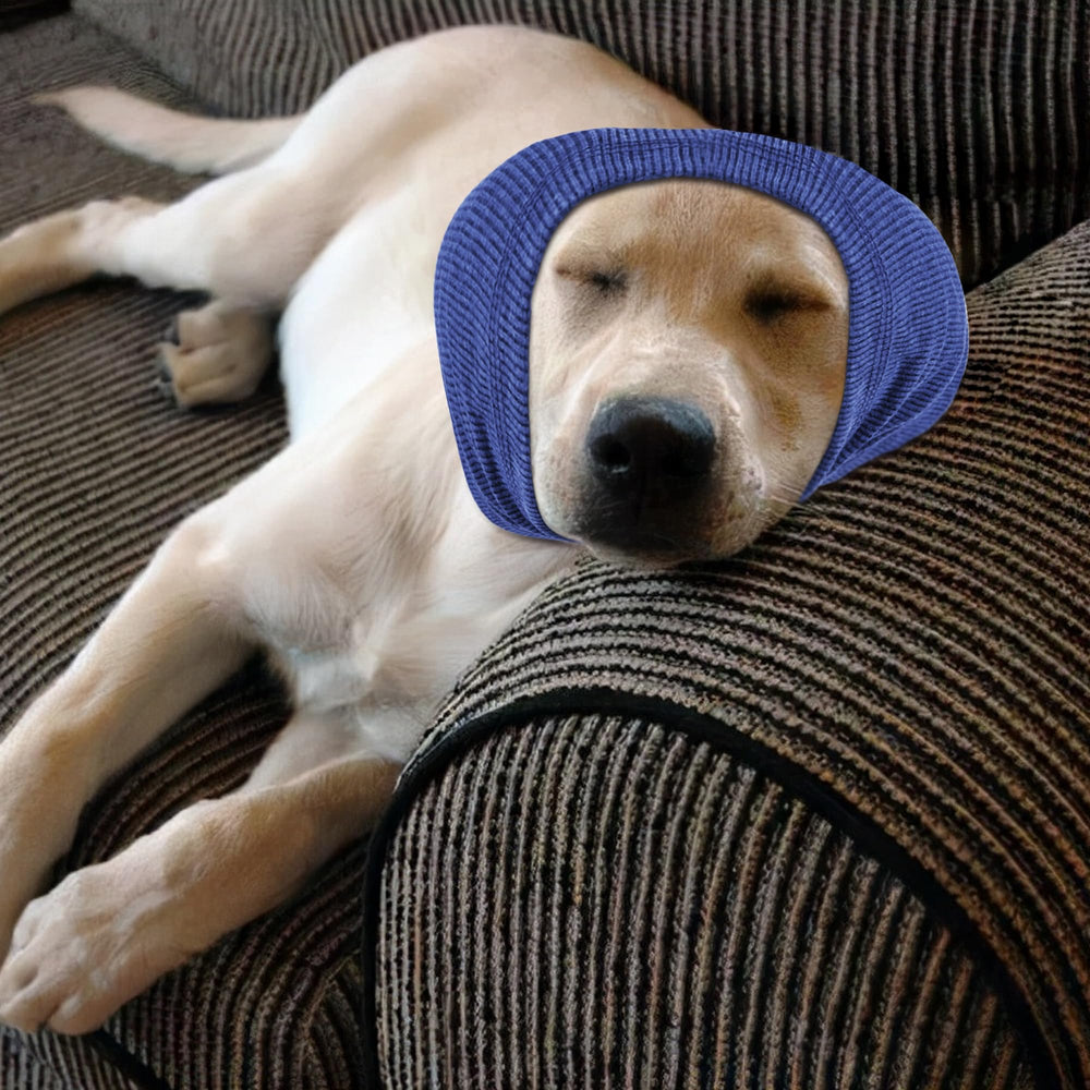 Rbenxia multi-use dog ear protection for winter outings.