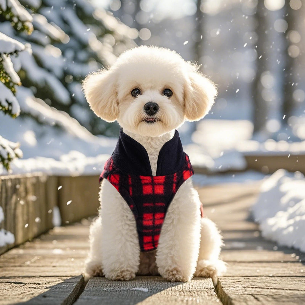 Rbenxia warm fleece dog coat in XS for cozy winters