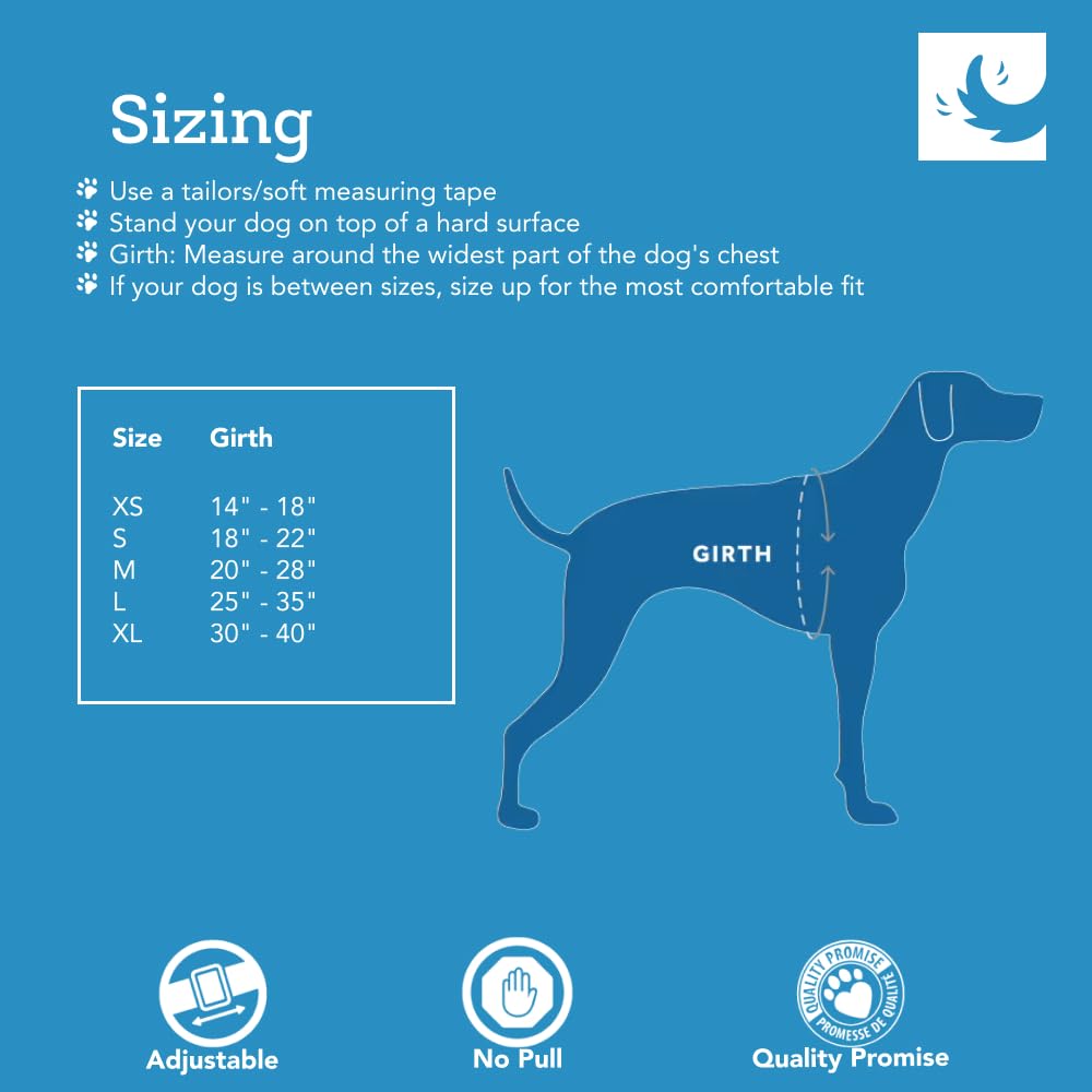 RC Pets Tempo No Pull Harness small back-martingale view demonstrates shoulder pressure distribution to reduce pulling.