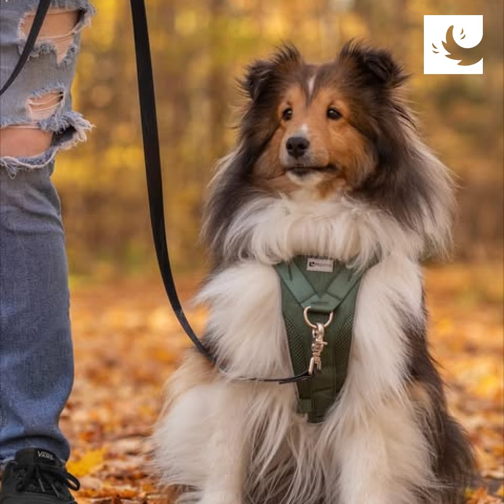 RC Pets Tempo No Pull Harness small buckles ensure smooth fittings and reduced irritation.