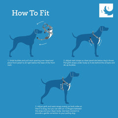 RC Pets Tempo No Pull Harness small reflective strap emphasizes nighttime visibility for safer walks.