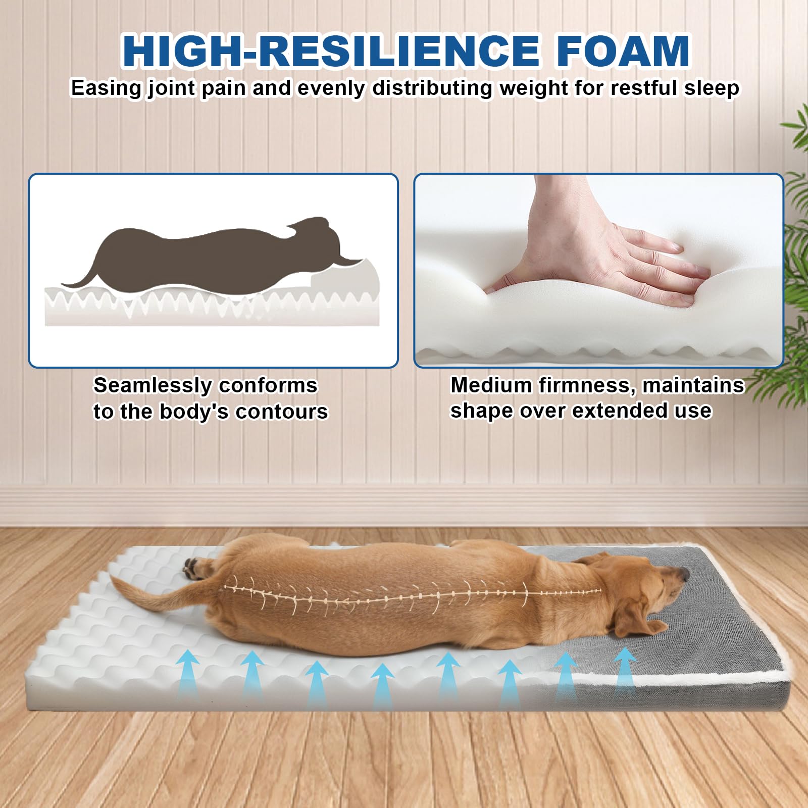 RC SLL waterproof-lining-dog-bed keeps moisture out during indoor lounging.
