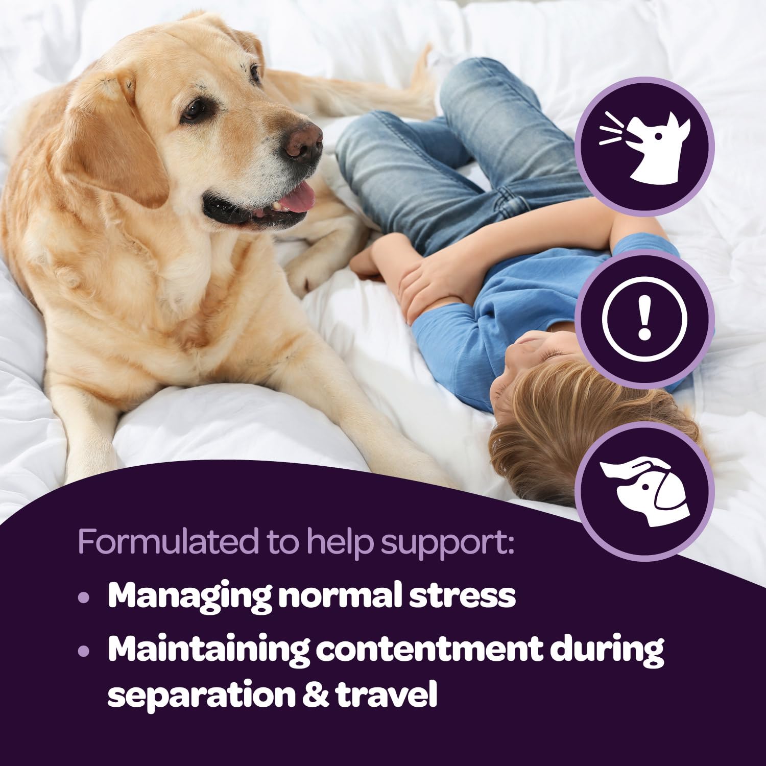 Ready Pet Go! Calming Chews reduce fireworks anxiety and noise frustrations.