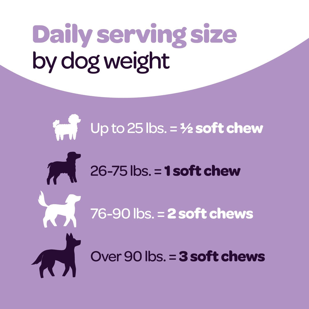 Ready Pet Go! Calming Chews with herbal extracts for natural relaxation support.