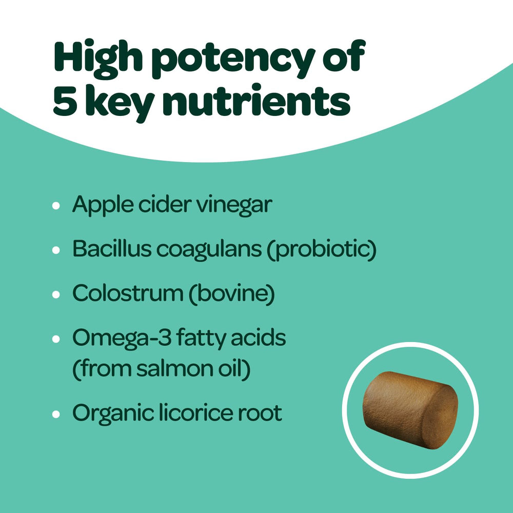 Ready Pet Go colostrum and probiotics blend supports immune and gut health.