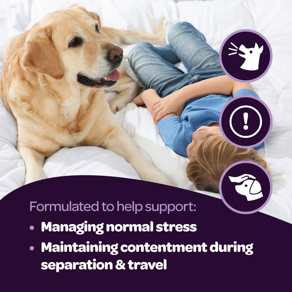 Ready Pet Go hemp seed benefits for dogs image showing wholesome, natural calming support