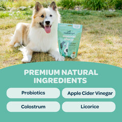 Ready Pet Go Immunity chews bottle showing probiotic and salmon oil ingredients