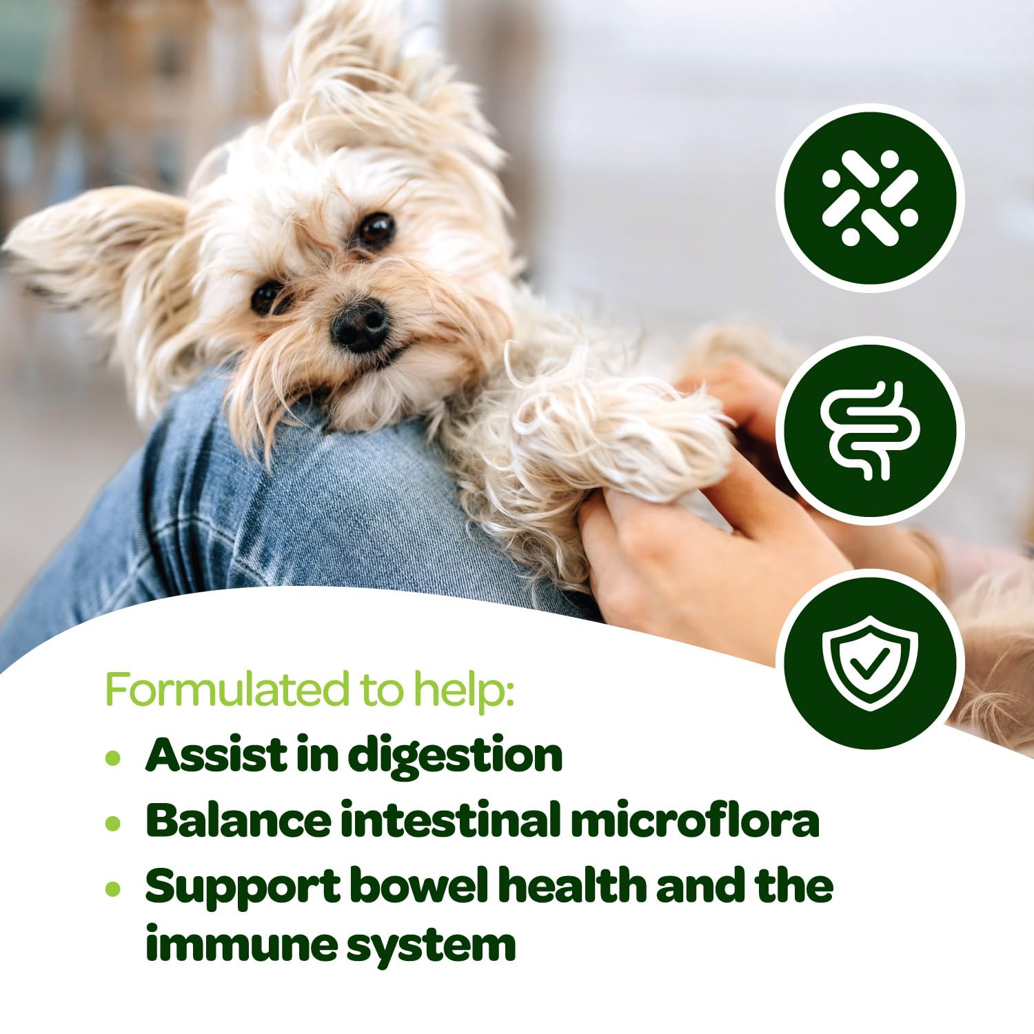 Ready Pet Go probiotic chews with digestive enzymes for canine digestive wellness.