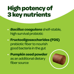 Ready Pet Go probiotic chews shown as a dog chewing for digestive comfort.