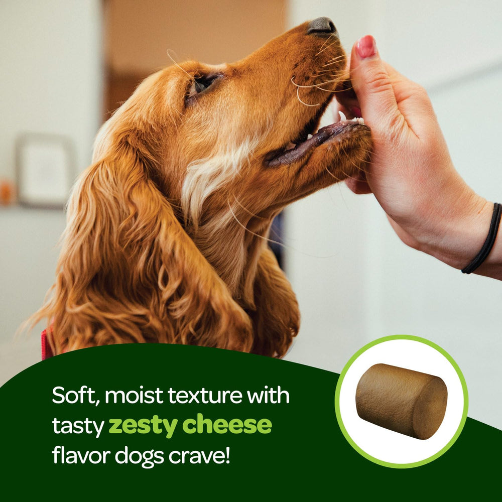Ready Pet Go probiotic chews proudly made in the USA.