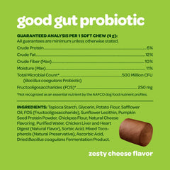 Ready Pet Go probiotic chews with pumpkin ingredients promoting gentle digestion.