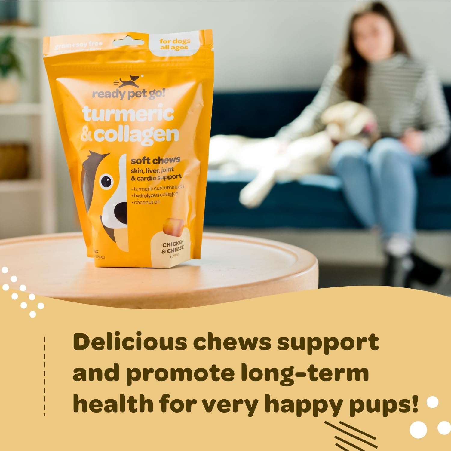 Dog on a walk enjoying Ready Pet Go! turmeric chews for comfortable daily activity.