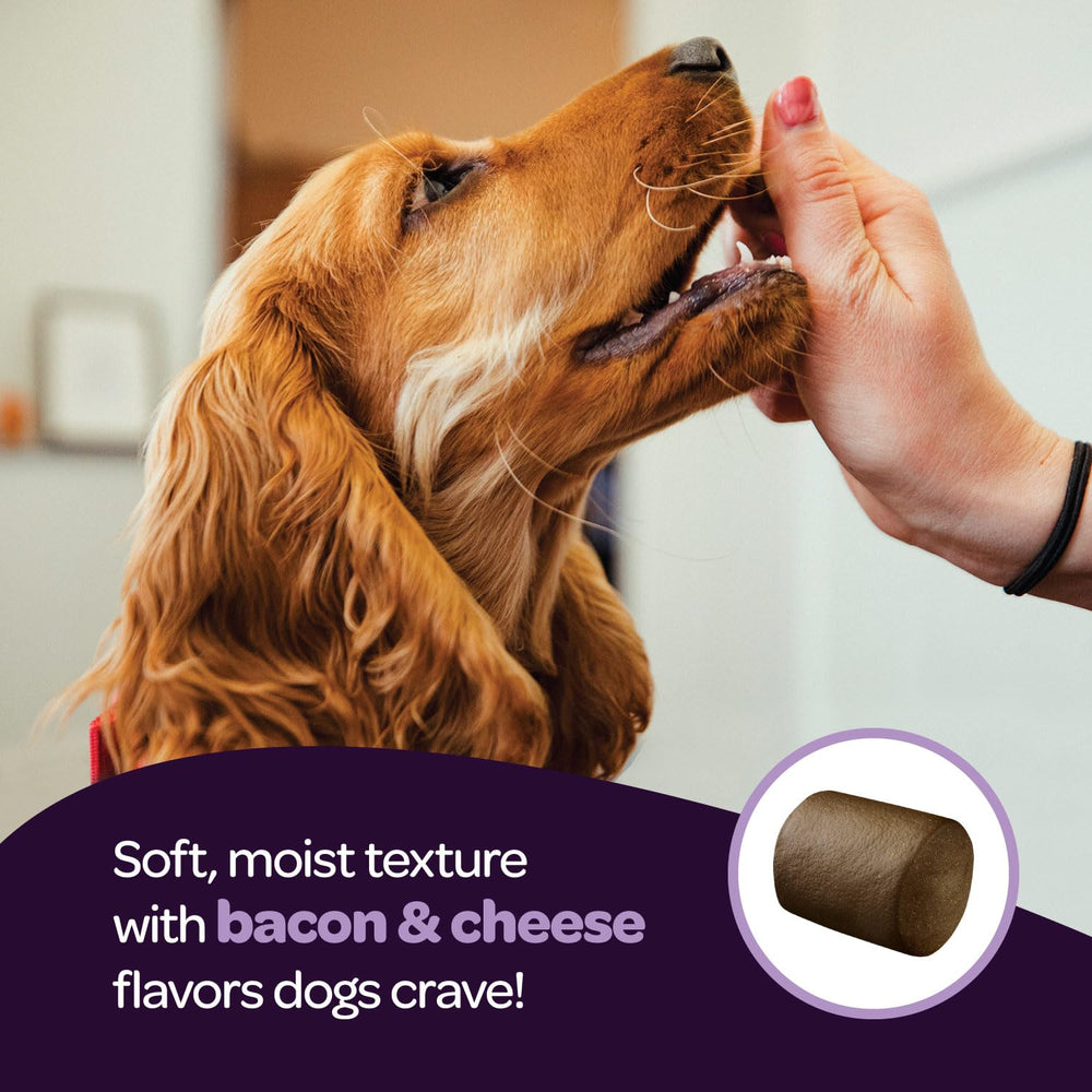 Ready Pet Go USA-made dog supplement scene with quality packaging