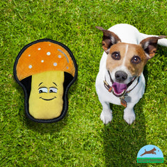 ReadyHound cross-stitching reinforced dog toy highlights durability for aggressive chewers.