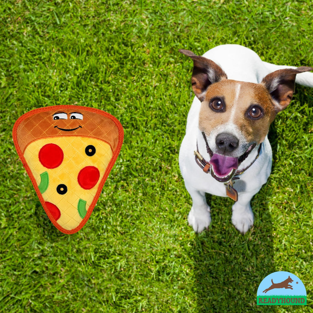 ReadyHound Pizza Dog Toy versatile sizes suitable for puppies to medium dogs.