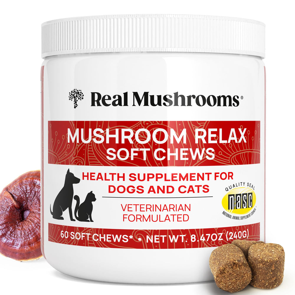 Real Mushrooms calming chews dog bottle closeup supports daily composure