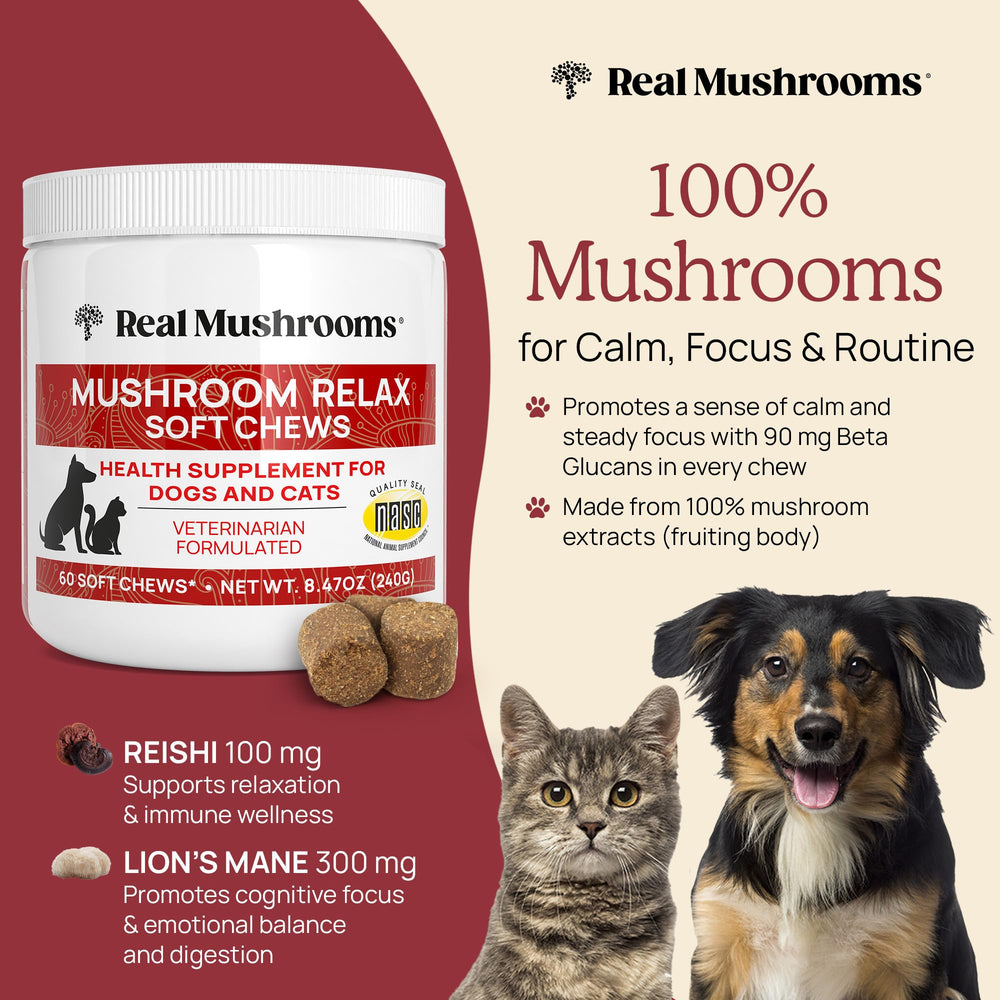 Real Mushrooms calming chews dog treat serve highlights easy daily use