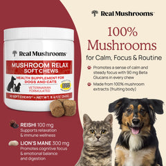 Real Mushrooms calming chews dog treat serve highlights easy daily use