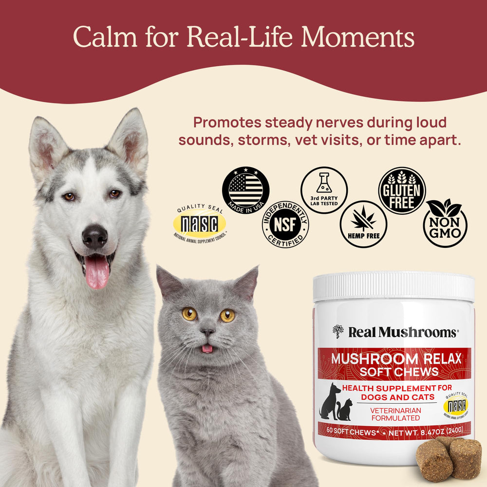 Real Mushrooms calming chews ingredients panel emphasizes plant-based calm