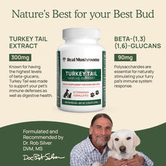 Real Mushrooms capsules for pets meal mix shows easy mixing into meals for daily routine support