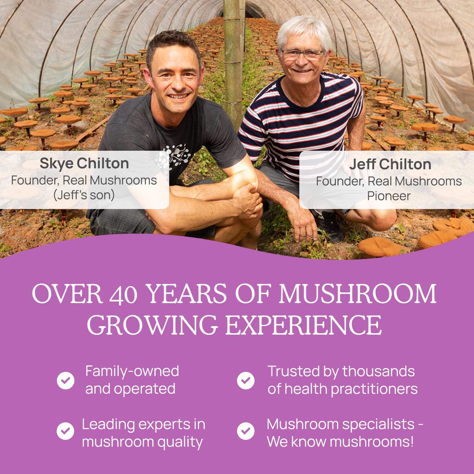 Real Mushrooms cat supplement powder helps aging cats maintain daily activity.
