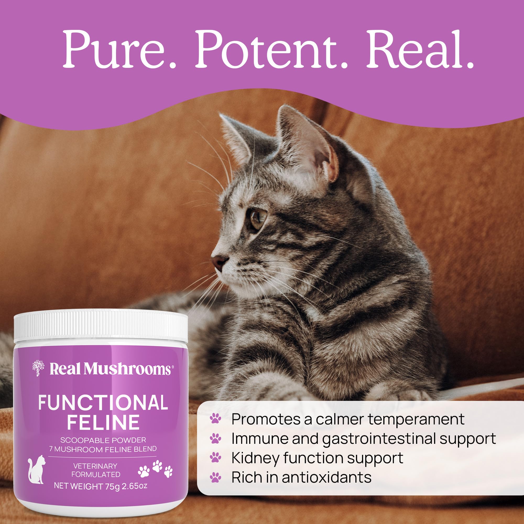 Real Mushrooms cat supplement powder includes Antarctic krill for omega-rich nutrition.