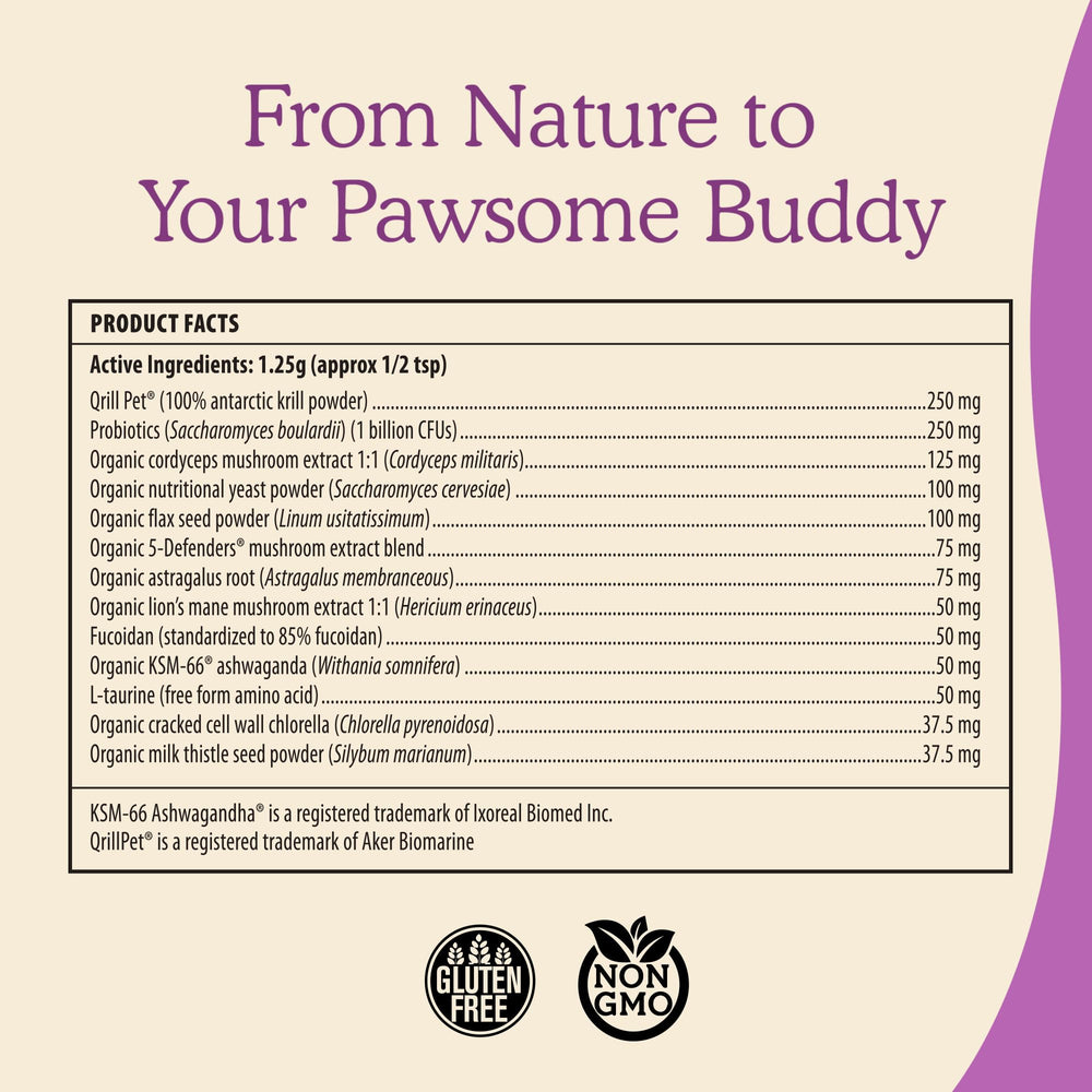 Real Mushrooms cat supplement powder contains ashwagandha for adaptogenic balance.
