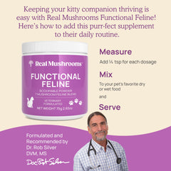 Real Mushrooms cat supplement powder packaging label highlights senior cat support and clean ingredients.
