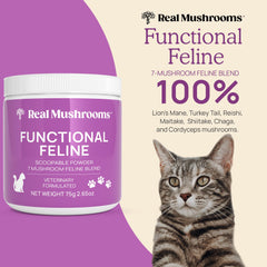 Real Mushrooms cat supplement powder scoop for easy measured dosing in meals.