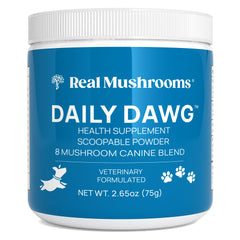 Real Mushrooms dog health jar powder—premium mushroom blend for daily wellness.
