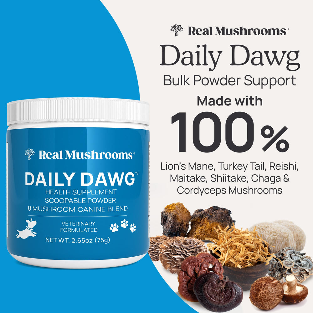 Real Mushrooms dog health measuring scoop—easy daily dosing for dogs.